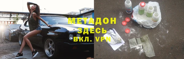 прущие грибы Покров
