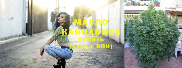 индика Волоколамск