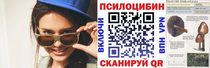 купить  сайты  Карасук  Псилоцибиновые грибы MAGIC MUSHROOMS 