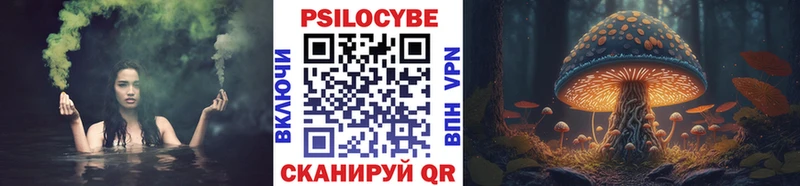 Псилоцибиновые грибы Psilocybe Карасук